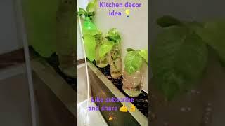 Beautiful kitchen decoration ideas| with homemaker asha Sharma|