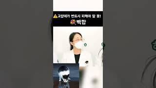 초보 집사님이라면  주목하세요 | 동물의사 Animal Doctor #고양이독성 #고양이독성꽃 #고양이백합