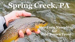 Spring Creek, PA:  Euro Nymphing for Wild Brown Trout