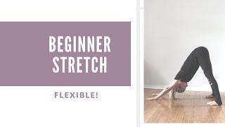 Beginner Stretches for Dancers- Flexible Fast!