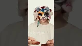 С Катосей #квадробика #анимация #макото