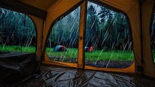 Rain on Camping day at Deserted Forest that warm your soul - ASMR Rain sounds, relaxing music