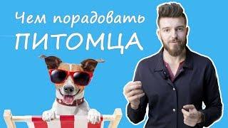 Как порадовать собаку?