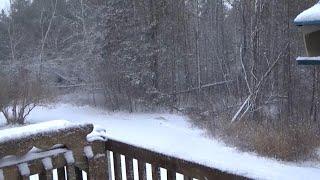 Arrival of Snow in Nova Scotia