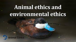 Animal ethics and environmental ethics