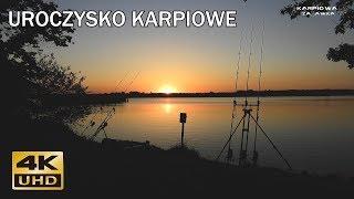 Zasiadka karpiowa - Uroczysko karpiowe [majówka]