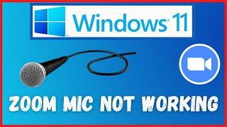 Windows 11 Zoom Mic Not Working - Failed To Detect Your Microphone Error in