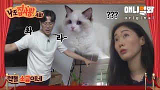 렉돌 '소금이'를 모시는 천생 집사의 고민 [나도 집사왕 4화]ㅣCan I Adopt A Second Cat?