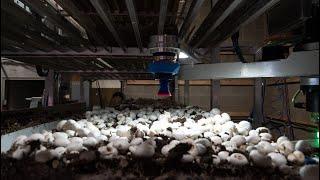 British Columbia, Agritech: TechBrew Robotics