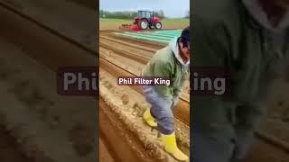 Yam planting, harvesting and processing technology #farming #lifeisbutadream #machine #trending
