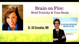 Brain on Fire: Mold Toxicity with Dr. Jill Carnahan