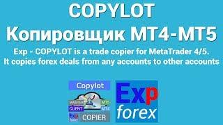 Копировщик сделок COPYLOT для MT4 и MT5 с реверсом