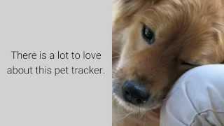 Tractive GPS Pet Tracker - Pros, Cons & Reviews Of Tractive Pet Tracker