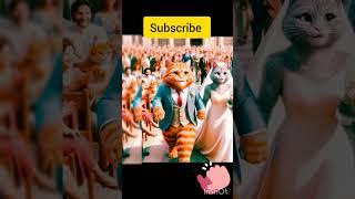 #ai #cat #dod #viral #fun #viralvideo #subscribe #ai cat family #Ai DNA#funny #shorts #story