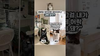 결혼할 여친이랑 헤어지려고 #고양이밈