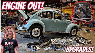 Wawa's Beetle Gets An Engine Overhaul.