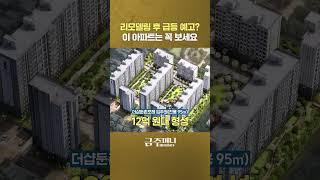 리모델링 아파트로 돈 벌수 있을까? 이곳 매수하면 됩니다ㅣ부동산카페 [금주머니TV] #shorts