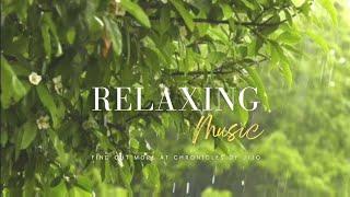 The Most Relaxing Music Ever! 'Peace in the Rain' | @ChroniclesofJijo |#calmness #sleepmusic #fyp