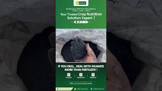 Daily Fertilizer Products & Factory Updates #fertilizer #automobile