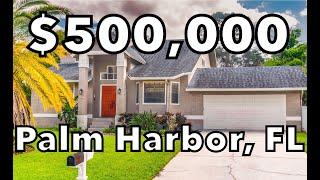 WHAT $500K GETS YOU IN PALM HARBOR FLORIDA