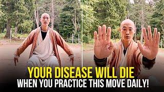 This Exercise Will Make Any Pain Disappear Forever | Shi Heng Yi