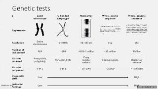 Genetics 101 and Developmental Disabilities