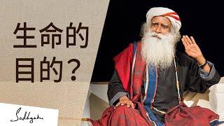 生命的目的是什麼？| Sadhguru (薩古魯)