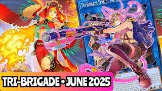 BEST! Tri-Brigade Deck Profile! JUNE 2025!