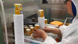 Empty PP PS Cup Shrink Sleeve Label Shrinking Machine for Yogurt/Icecream/Coffe Plastic Package Cups