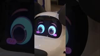 How many languages can BabyAlpha Robot Petbot can speak?  #shorts