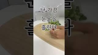 자취생 대파 한단 알뜰하게 먹기