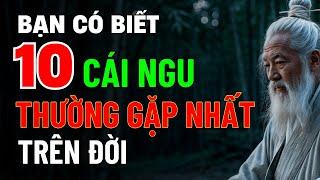 10 Cái Ngu Thường Gặp Nhất Trên Đời – Cổ Nhân Dạy Để Tránh Sai Lầm