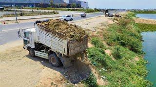 Wonderful Start New Project!Dump Truck Filling Land Huge Lake,Bulldozer D31P Pushing Soil Perfectly