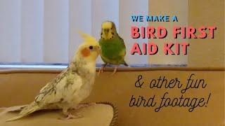 Bird First Aid Kit for Budgies and Cockatiels