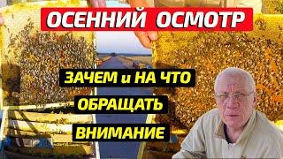 Осенняя ревизия на пасеке или главный осенний осмотр на пасеке