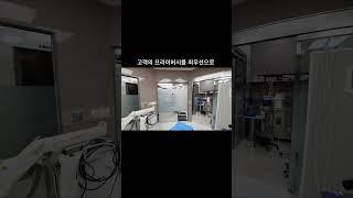 #이상한pdlc #pdlc필름 #인테리어 #smartpdlcfilm #매직글라스 #홈디자인 #home #interiordesign #카페 #아파트인테리어 #동물병원 #pdlc