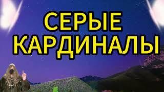 СЕРЫЕ КАРДИНАЛЫ