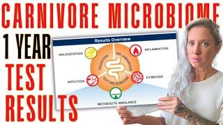 What happened to my microbiome?? Comprehensive Gut Health Test after 1 Year on the Carnivore Diet