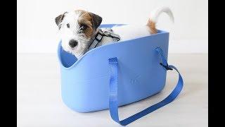 Carry your dog always with you, thanks to Ferplast pet bag WITH-ME !