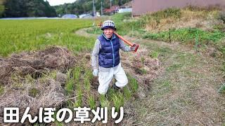 【癒し】田舎の原風景！おばあちゃんの笑顔と鳥の声