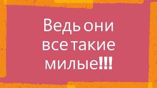 Единороги в реальной жизни  самое милое видео на моём канале (про щенят)