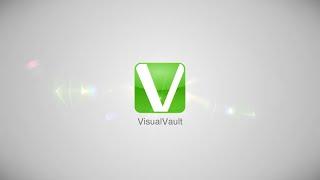 VisualVault, What we do!