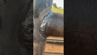 Pipe fence problems with cracks happening