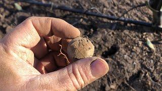 Silver Spill and Military Relics Metal Detecting a Demolition Site ️