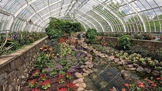 ⁴ᴷ⁶⁰ Walking Pittsburgh, PA: Phipps Conservatory and Botanical Gardens