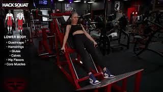 Flex Fitness Equipment - Legend Fitness (Hack Squat) 2022