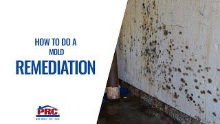 HOW TO DO A MOLD REMEDIATION