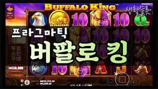 @프라그마틱@ 버팔로킹 BUFFALO KING 생활슬롯영상!!!