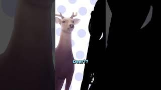 Dokis Out of Context 9(DDLC Voiced Animation) #ddlc #shorts