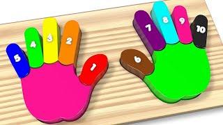 Wooden Colorful Rainbow Hands and Fingers Kids Toys - Toy Learning Video for Toddlers - Kids Toys